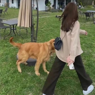 充满幸福的家